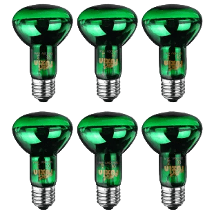 Color Globe 40W Green