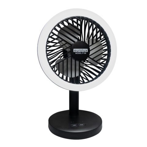 Mini Fan